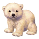 Tu te reconnaitras......